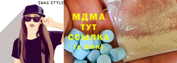 гашик Алексин