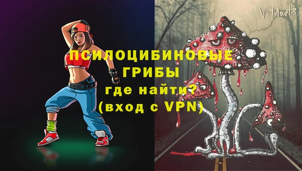 МДПВ Абаза