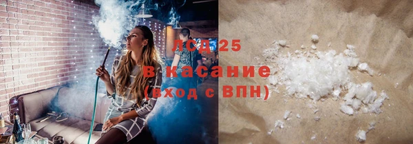 гашик Алексин